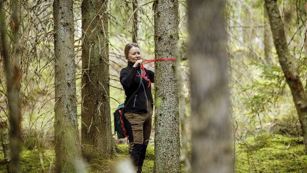 Metsänhoitoyhdistys Lounais-Hämeen metsäasiantuntijan Heli Ketolan mukaan rajalinjojen aukipitämisen merkitystä ei voi liioitella. Ketola näytti toukokuun puolivälissä, miten rajat merkitään maastoon. (Kuvaaja: Seppo Samuli)