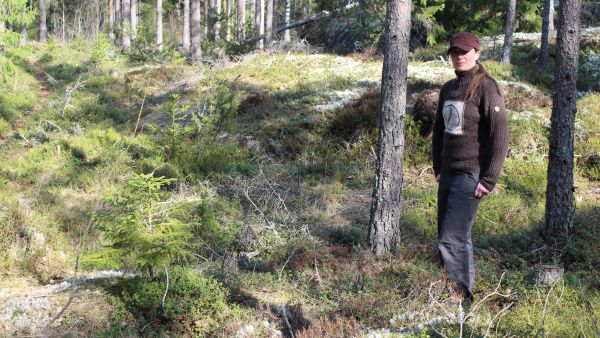 Anna Mäki-Punton tavoitteena on saada metsät tuottaviksi ja hyvinvoiviksi. Metsästä haetaan myös rentoutumista ja virkistäytymistä.