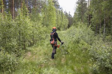 Ensimmäisenä niitettiin penkkatien pintaan kasvaneet pienetkin vesat. Ilman raivausta tieaukko olisi kasvanut umpeen muutamassa vuodessa. (Kuvaaja: Ari Komulainen)