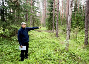 Vanhojen ajourien tunnistaminen on tärkeää, jotta metsää ei epähuomiossa harvenneta liikaa. Nyt ajourien löytäminen oli työn takana, mutta jatkossa siihenkin voi saada apua entistä tarkemmasta metsästä mallinnetusta tiedosta. (Kuvaaja: Emil Bobyrev)