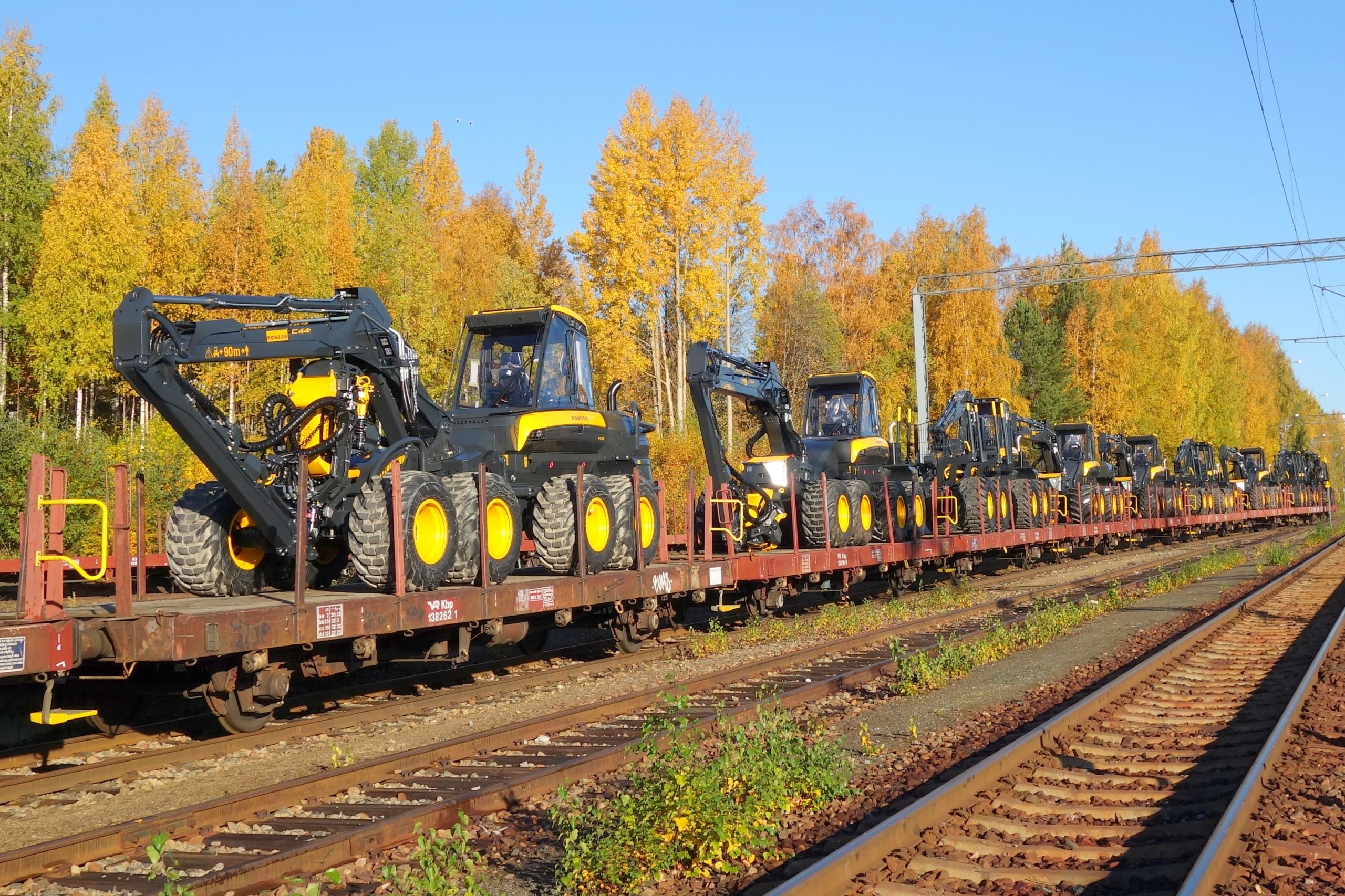 Ruska - Metsälehti