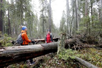 Tarja Karjula ja Virpi Lipsonen kävivät syysretkellä Pyhä-Häkin kansallispuistossa. Suojelumetsää he kuvailivat rauhoittavaksi ympäristöksi, jossa aika tuntuu pysähtyneen. Suomen metsien pinta-alasta luonnontilaisia tai luonnontilaisen kaltaisia on arviolta 23 prosenttia. (Kuvaaja: Sami Karppinen)