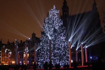 Brysselin joulukuusiperinne on suomalaisten alulle saattama, vaikka nykyään puu tuodaankin lähempää. (Kuvaaja: Heikki Nuorteva)