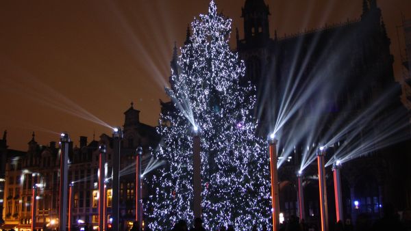 Brysselin joulukuusiperinne on suomalaisten alulle saattama, vaikka nykyään puu tuodaankin lähempää. (Kuvaaja: Heikki Nuorteva)
