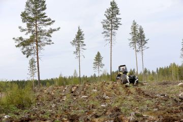 Jatkuvatoiminen mätästyskone on korvaamassa kaivinkoneet metsämaan muokkauksessa. (Kuvaaja: Sami Karppinen)