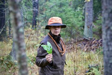 Eila Lautanen tuntee metsäalan koulutuksen läpikotaisin.  