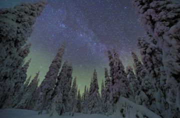 Lumisten kuusien takana näkyi tuhansia tähtiä, linnunradan hailakka vyö ja sen alla vihreää revontulivaloa. En kuullut pienintäkään ääntä, en mitään.  