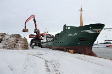 Koivukuitua laivataan taas vuoden tauon jälkeen Oulun ja Raahen satamista tuntemattomaan määränpäähän, mutta Ruotsiin joka tapauksessa. Kuvat kahden ovat kahden vuoden takaa. (Kuvaaja: Janne Kangas)