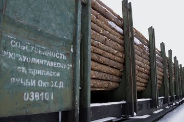 Suurin osa Suomen ja Venäjän välisestä metsäteollisuuteen liittyvästä kaupasta on kuitupuun ja hakkeen tuontia. Viennin arvo on neljä viidesosaa tuonnista, ja suurimmaksi osaksi kartonkia. (Kuvaaja: Matti Björkman)