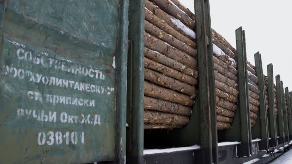 Suurin osa Suomen ja Venäjän välisestä metsäteollisuuteen liittyvästä kaupasta on kuitupuun ja hakkeen tuontia. Viennin arvo on neljä viidesosaa tuonnista, ja suurimmaksi osaksi kartonkia. (Kuvaaja: Matti Björkman)
