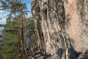 Kalliomaalauksiin tutustuu parhaiten syksyllä, talvella tai keväällä. Kesähelteillä kuvien värit näyttävät haalistuneilta ja niitä on vaikea erottaa. Kuvassa Saraakallion maalausseinää. (Kuvaaja: Hannu Eskonen)