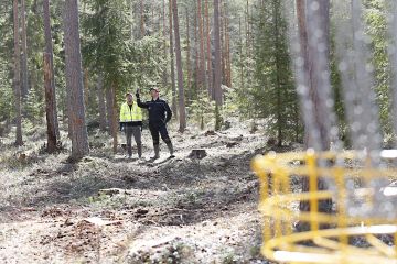 Jarmo (vas.) ja Janne Saarela ovat suunnitelleet Malluusen frisbeegolfradan väyliä yhdessä. Puusto on poistettu väyliltä maltillisesti ja vähin erin siten, että normaali metsänkasvatuskin onnistuu edelleen. (Kuvaaja: Sami Karppinen)