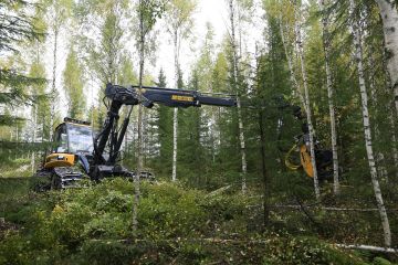 Näitä lisää. Ostajat ihmettelevät harvennusleimikoiden vähäistä tarjontaa. Niille olisi nyt kysyntää. (Kuvaaja: Sami Karppinen)