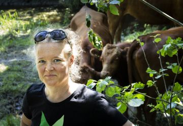 Metsähallituksen projektipäällikkö Martina Reinikainen kertoo, että Hindsbyn luonnonlaitumelle on istutettu harvinaistunutta pikkuapolloperhosta. Lehmien laidunnus on suunniteltu niin, ettei perhonen häiriinny.  (Kuvaaja: juha metso)