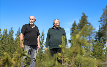 Vesa Väisänen (vas.) ja Yrjö Mattila tarkastelevat merkkejä jäkälästä aidatun jäkälänkasvatusalueen vieressä. Aidatulla alueella kasvoi ennen tiivis jäkäläpeitto, jonka toivotaan kasvavan takaisin. (Kuva: Juha Kauppinen)