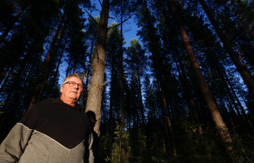 Markku Savolainen on saanut kotitilan metsät Eero veljensä kanssa kovalla työllä erinomaiseen kasvukuntoon. Suurin osa kuvioista tuottaa nyt tukkipuuta kiihtyvällä tahdilla. (Kuva: Sami Karppinen)
