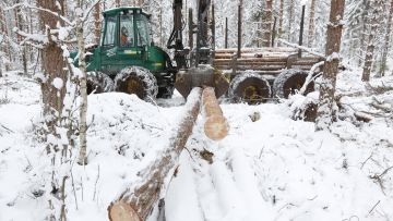 Moni aktiivinen hankintahakkaaja empii vielä, missä määrin aikoo korjata puuta ensi talvena. Jyväskyläläinen Jussi Koskinen ajamassa hankintapuita harvennusleimikoltaan toissa talvena. (Kuvaaja: Sami Karppinen)