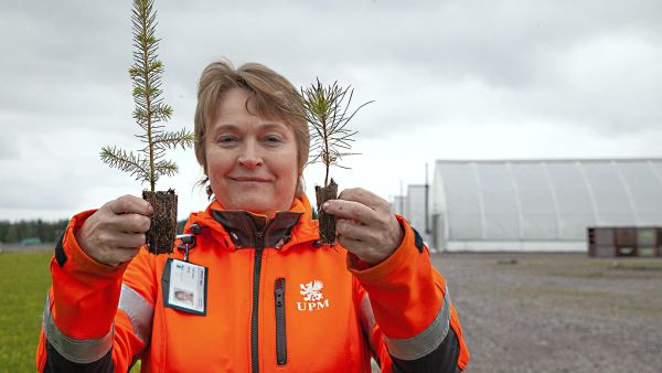 Anne Immonen havainnollistaa Pikkolo-taimen ja peruspaakkutaimen kokoeron. (Kuva Mikko Riikilä)
