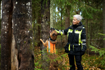 Kolmivuotias Taru-koira ja Tanja Karpela näyttävät, miten liito-oravia etsitään. Harjoitusmaastot ovat lähellä, sillä koti Perniössä sijaitsee liito-oravametsän vieressä. (Kuvaaja: MARIA GRÖNROOS)