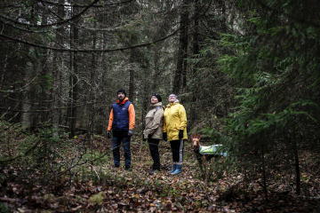Mikko Nieminen, Riitta Raatikainen ja Riitta Nieminen arvioivat lahopuuston määrää tulevalla suojelualueella. Mukana metsässä on myös faaraokoira Viola. (Kuva: Petteri Kivimäki)