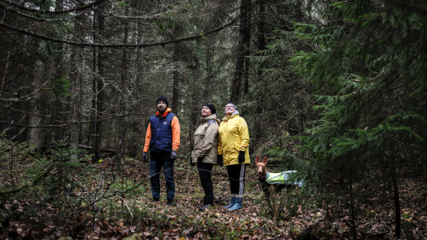 Mikko Nieminen, Riitta Raatikainen ja Riitta Nieminen arvioivat lahopuuston määrää tulevalla suojelualueella. Mukana metsässä on myös faaraokoira Viola. (Kuva: Petteri Kivimäki)