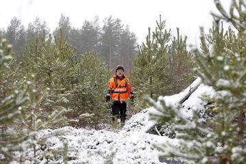 Jorma Javanainen on raivannut kertaalleen tämän Tapani-myrskyn seurauksena perustetun kolmentoista hehtaarin mäntytaimikon. ”Tähän tulen vielä kahdesti raivaussahan kanssa. Parin kolmen vuoden päästä kylvötuppaiden harvennus ja sen jälkeen vielä yksi taimikon harvennus ennen ainespuun korjuuta.” (Kuva Sami Karppinen)