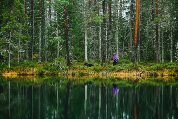 Elämä olisi varmaankin toisenlaista ilman metsiä, Sanna Ketola pohtii. (Kuva: Seppo Samuli)