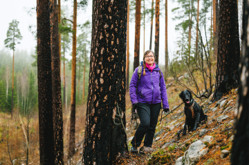 Sanna Ketola ja Hippu-koira ulkoilevat Evon metsäkoulun maastoissa, mutta ajatukset ovat usein omissa metsissä tasaisemmalla Pohjanmaalla. (Kuva: Seppo Samuli)