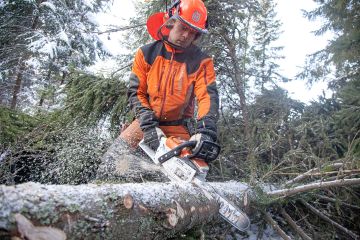 Stihlin isoimman akkusahan teho riittää ongelmitta paksujenkin kuusten sahaamiseen.