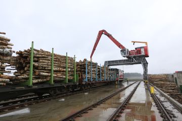Venäjä oli edelleen puuntuontitilaston kärjessä, vaikka tuonti loppuikin maaliskuun jälkeen. (Kuva Sami Karppinen)