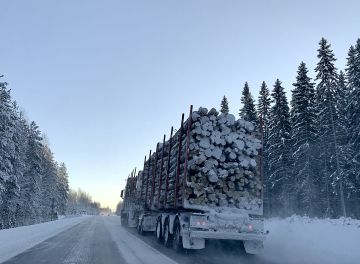 Metsäalan investoinnit edellyttävät, että puuta saadaan liikkumaan jatkossa nykyistä suurempia määriä. Tätä varten tarvitaan lisää puutavara-auton kuljettajia. (Kuvaaja: Tiia Puukila)