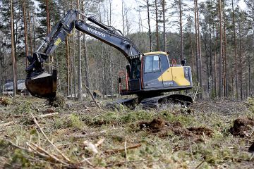 Huolellisesti toteutettu maanmuokkaus on olennainen osa uudistustöiden onnistumista erityisesti, jos odotettavissa on kuivuutta. (Kuvaaja: Sami Karppinen)