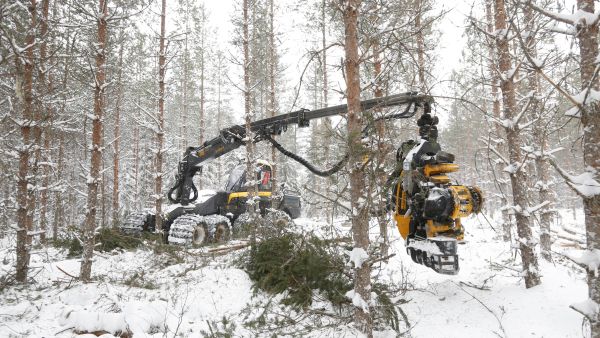 Metsäyhtiöt eivät omine tarkastuksineen ole samoilla linjoilla Suomen metsäkeskuksen korjuujälkiselvityksen kanssa. (Kuva: Sami Karppinen)