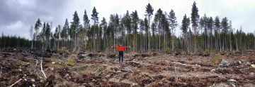 Sami Puukangas näyttää metsätilallaan, mihin tuulivoimayhtiön 400 kilovoltin voimalinja on tulossa. Kaikkiaan linjan alle menee 62 metriä leveä ja 800 metriä pitkä sarka. Pahimmallaan metsänomistajan yhtymän maiden läpi tulee kulkemaan kolme voimalinjaa. (Kuvaaja: Esko Keski-Vähälä)