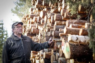 Heikki Vesteri on työskennellyt energiapuun parissa 30 vuotta, ja vasta nyt on kohdalla ensimmäinen merkittävä hinnannousu. (Kuvaaja: Petteri Kivimäki)