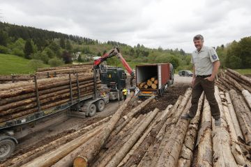 Forstamt Gehrenin johtaja Karsten Rose seurasi, kun kiinalaisen puunostajan edustajat lastasivat kirjanpainajan kuivattamia kuusia kontteihin Thüringenin osavaltiossa. Metsänomistaja on saanut puista tien varressa 90 euron kuutiohinnan. (Kuva: Sami Karppinen)