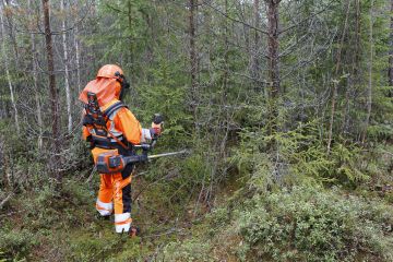 Sopivat valjaat löytyvät sovittamalla niitä sahan kanssa liikkeessä. (Kuvaaja: Sami Karppinen)