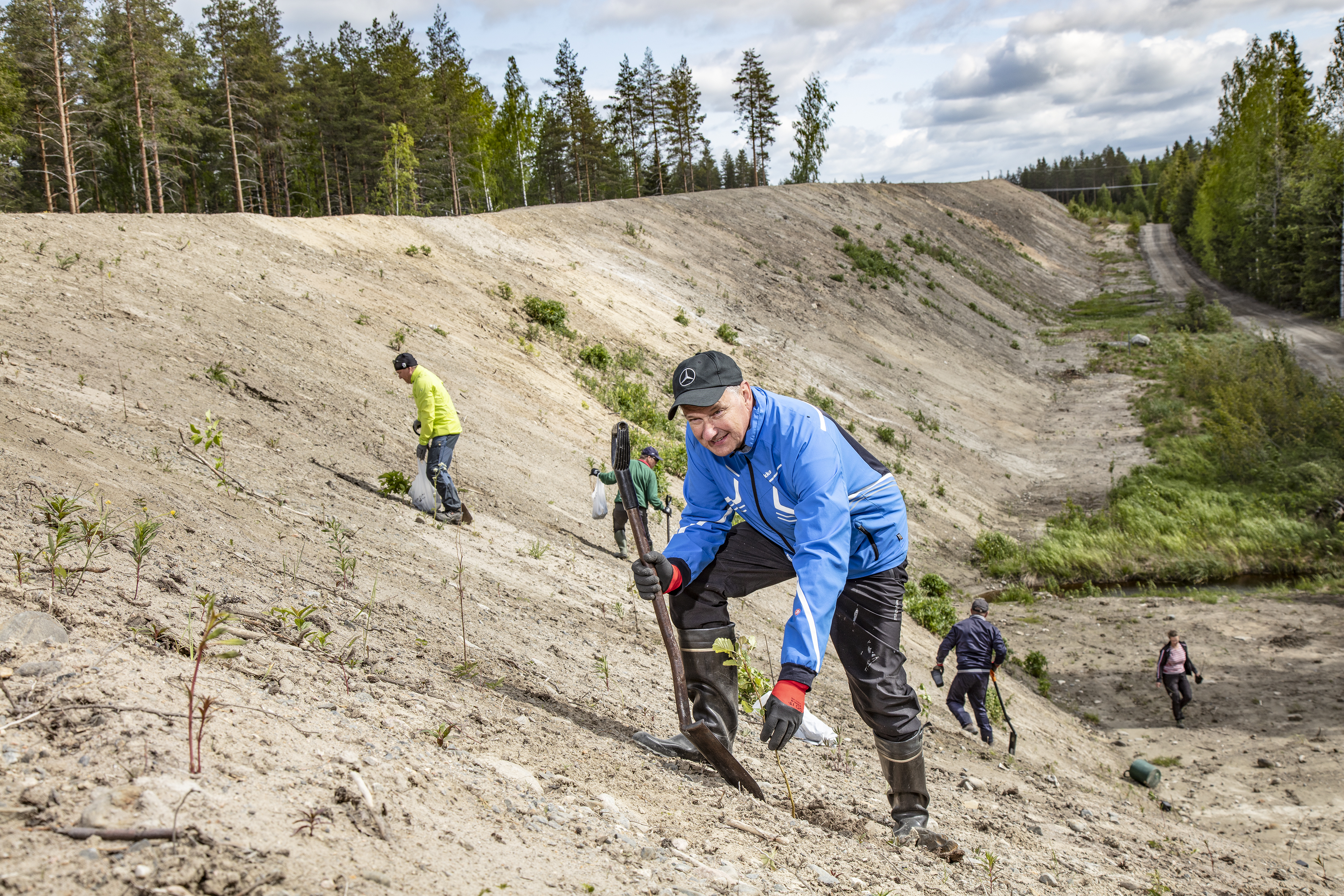 Kontiolahden kahden hehtaarin istutusalueella on muun muassa meluvalli, joka vaimentaa motocross-radan ääniä. Tervalepän taimia istuttaa ampumahiihdon maailmancup-tapahtumien talkoolainen Esa Kinnunen.  (Kuvaaja: Harri Mäenpää)