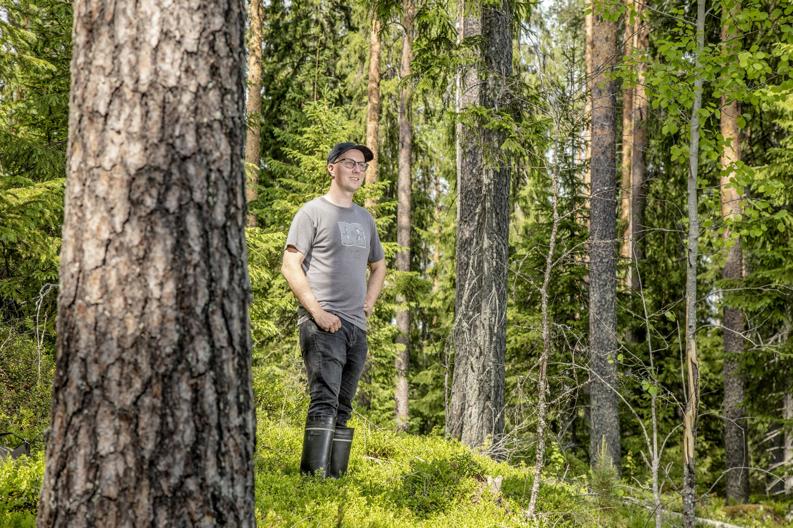 Jatkuvapeitteinen metsänkasvatus voi olla joillakin kohteilla kiinnostava vaihtoehto, Iiro Pankakoski arvioi.    (Kuvaaja: Harri Mäenpää)