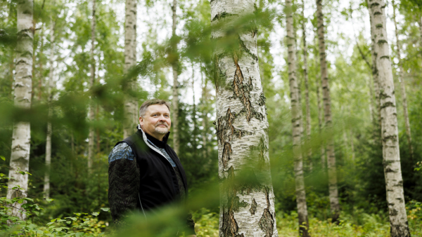 Antti Sipilän vanhalle pellolle vuonna 1991 istuttama koivikko on venähtänyt 27-metriseksi. Lehdoksi muuttunut kasvupaikka on oppilaille hankala tunnistettava.