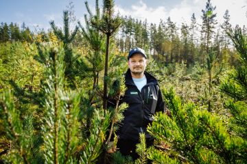 Metsän- ja luonnonhoidon asiakasneuvoja Mika Tuomainen Metsäkeskuksesta esitteli viime viikolla Karjaalla Sorkka-hankkeen pilottikohdetta, jossa mäntytaimikkoon on jätetty kasvamaan 5 000 runkoa hehtaarille, jotta hirville riittäisi ravintoa. (Kuvaaja: Seppo Samuli)