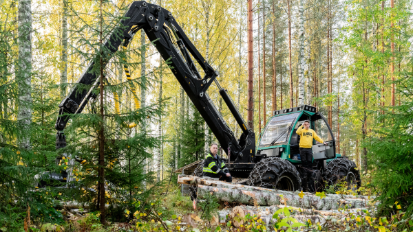 Riga Wood on reagoinut koivutukin niukkuuteen aloittamalla oman suoran koivutukkileimikoiden oston, metsäpäällikkö Timo Uotila kertoo. Juuso Laukkanen Punkaharjun Metsäpalvelu Oy LKV:stä korjasi koivutukkileimikon Punkaharjun Kauvonniemessä lokakuun alussa. (Kuva: Sirpa Mikkonen)