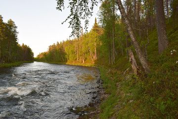 Kitkajoen-Arvungin -suojelualue