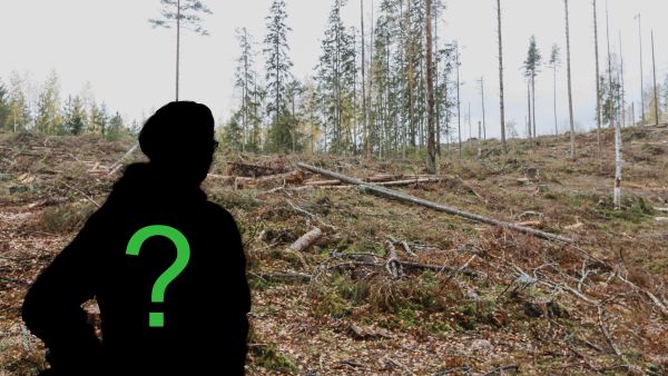 Metsäalan toimihenkilöiden koetaan edelleen olevan usein kuin samasta puusta veistettyjä. Kokemus siitä, että töissä saa olla oma itsensä, ei ole metsäalalla niin vahva kuin muilla aloilla keskimäärin, selviää tuoreesta tutkimuksesta. 