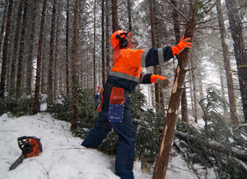 Mediasta puuttuu puunkaatajien ajatukset, Anna-Stina Nykänen arvioi Metsämiesten Säätiön juhlatilaisuudessa. (Kuva: Mikko Riikilä)