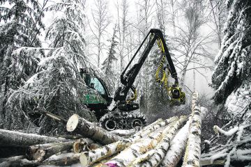 Suomen luontopaneeli ehdottaa monenlaisia rajoituksia metsänhakkuille. (Kuva: Mikko Riikilä)
