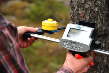 Metsävaratiedon keruussa mitataan koealoja kaikentyyppisistä metsistä. Tarkkaan mitattuja puita käytetään puustotulkinnan mallinnus- ja opetusaineistona. (Kuvaaja: Johanna Kleemola)