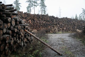 Ei polteta tulevaisuutta -ympäristökampanja kuvasi energiapuuterminaaleja eri puolilla Suomea.