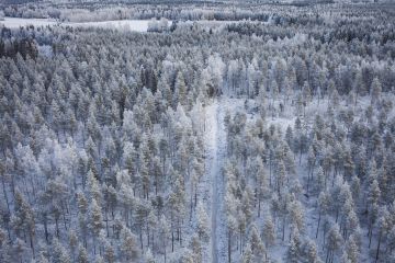 Puuston kasvun näkökulmasta suurimmat kunnostusojitustarpeet ovat Pohjois-Pohjanmaalla ja Etelä-Lapissa, jossa puun tuotosodotukset ovat matalammat kuin etelämpänä. Metsänkasvatuksen investointitarpeet ja niiden kannattavuus kohtaavat siis suometsissä huonosti. (Kuvaaja: Sami Karppinen)