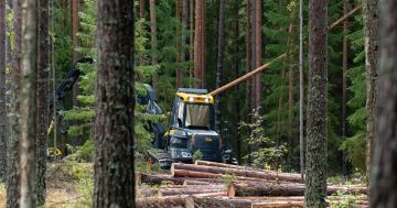 Metsä Groupin tavoite on myös vähentää puunhankinnan fossiilisia päästöjä 30 prosentilla vuoteen 2030 mennessä. (Kuva: Metsä Group)